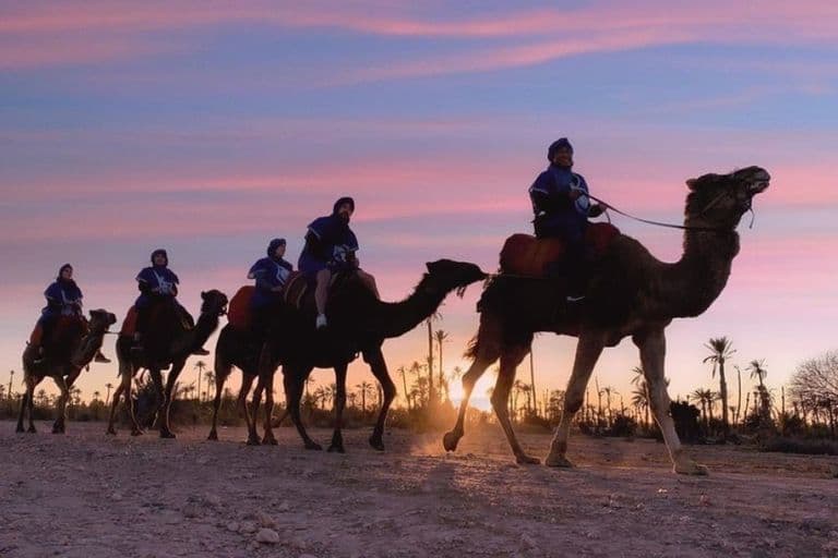 Camel Ride in the Agafay Desert from Marrakech - Image 1