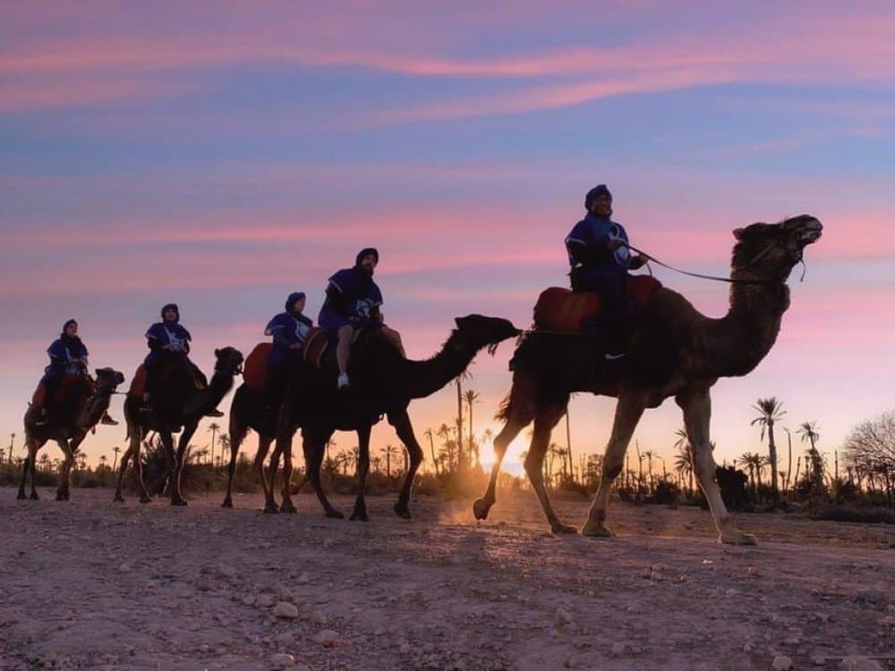 Desert Horizons: A Camel Journey in Agafay - Image 1